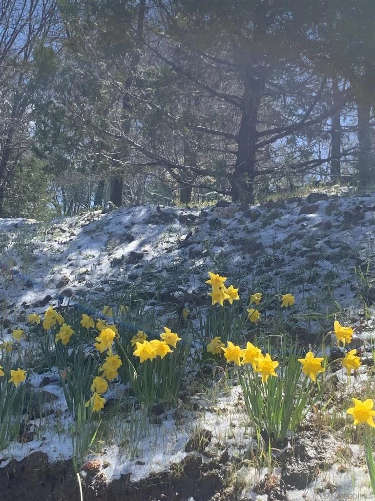 Photo of 4129 Eagle Peak