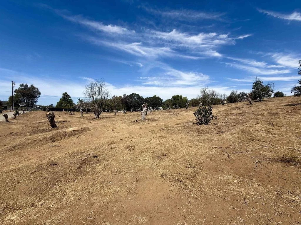 Photo of Canyon Heights Road
