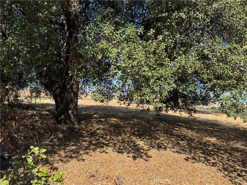Photo of 61 Redwood