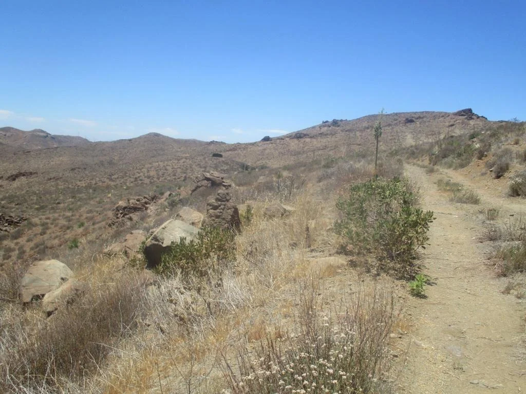 Photo of 28 Hughes