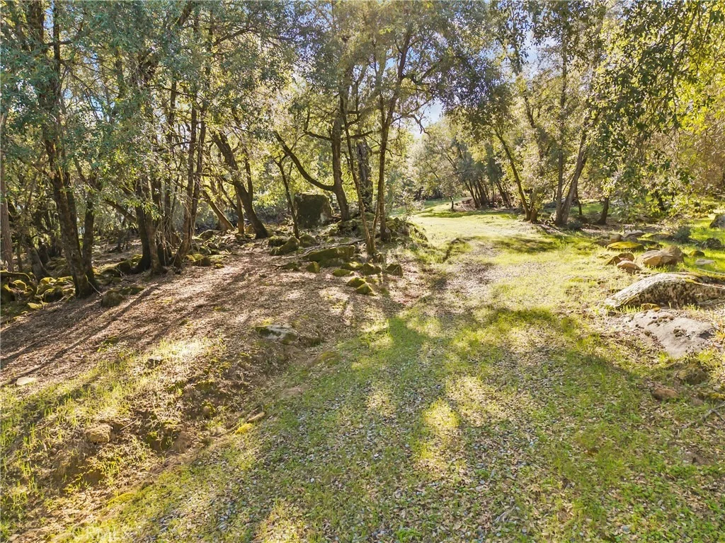 Photo of 1371 Moccasin Trail