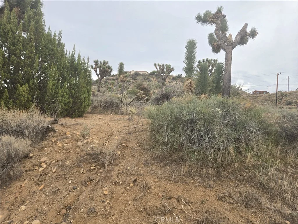 Photo of 54763 Twentynine Palms Highway