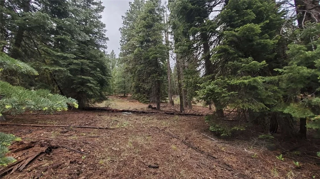 Photo of 0 Range Road