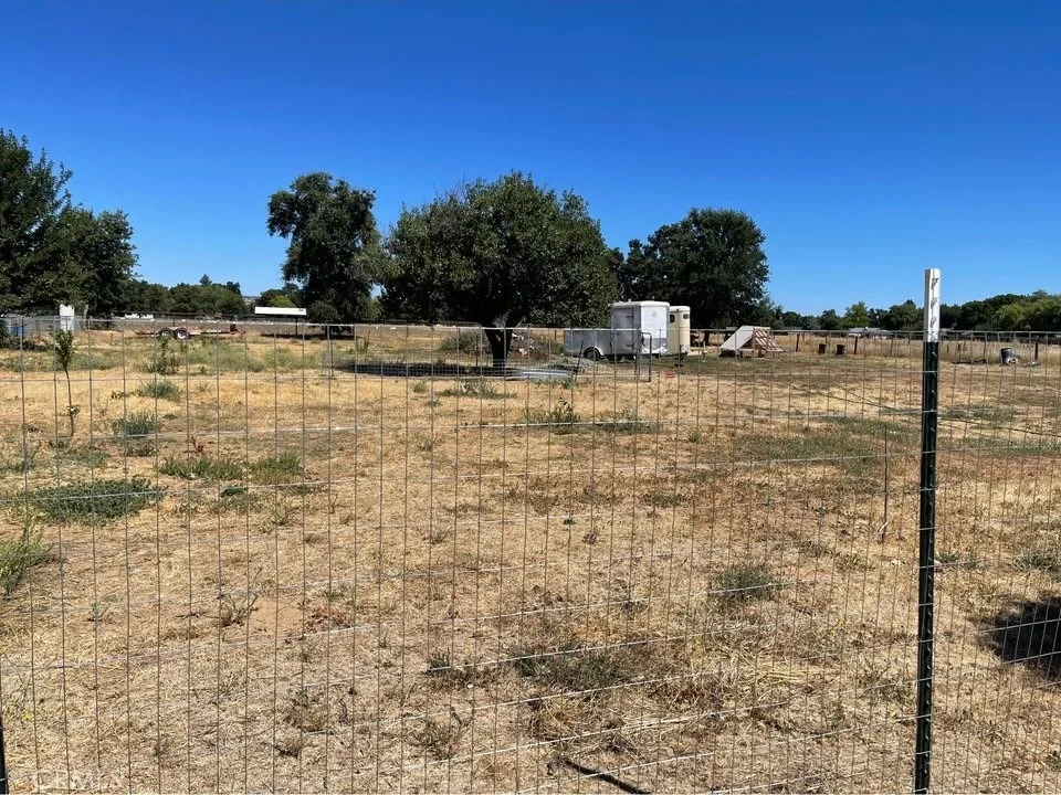 Photo of 13734 Trinity