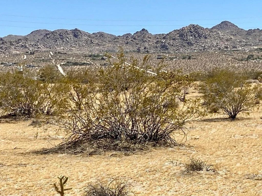 Photo of 117 Border Road