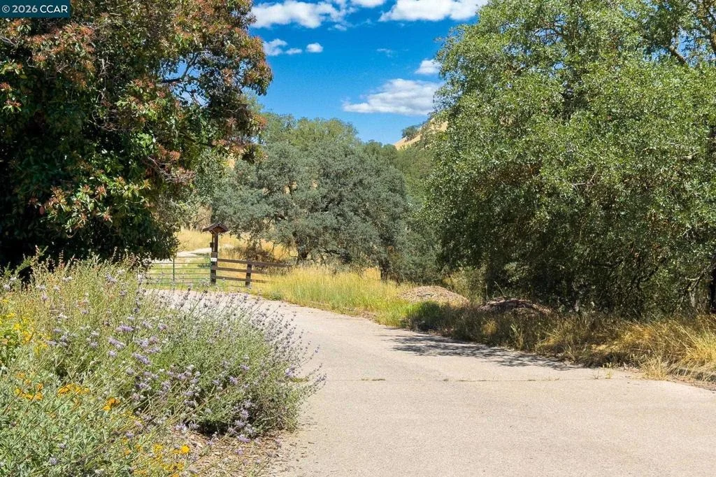 Photo of 1740 Oro Valley Cir