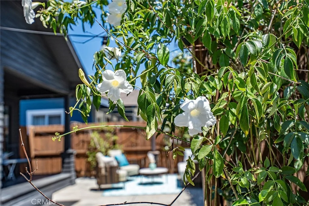Photo of 523 Olive