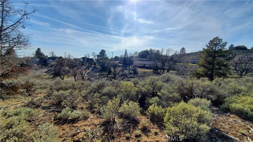 Photo of 25041 Jacaranda Drive