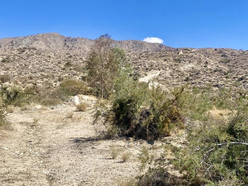 Photo of 51170 Panorama Drive