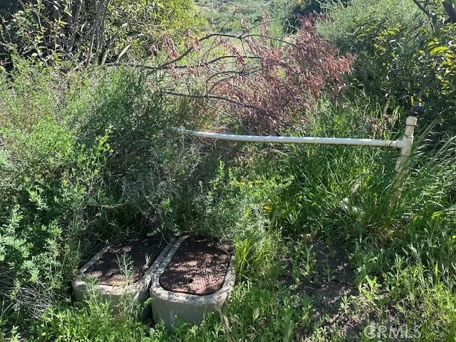 Photo of 28741 Williams Canyon Rd.