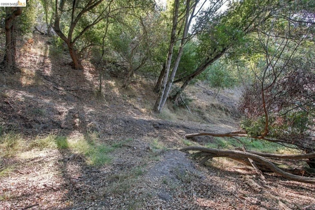 Photo of 2223 Rancho Rd