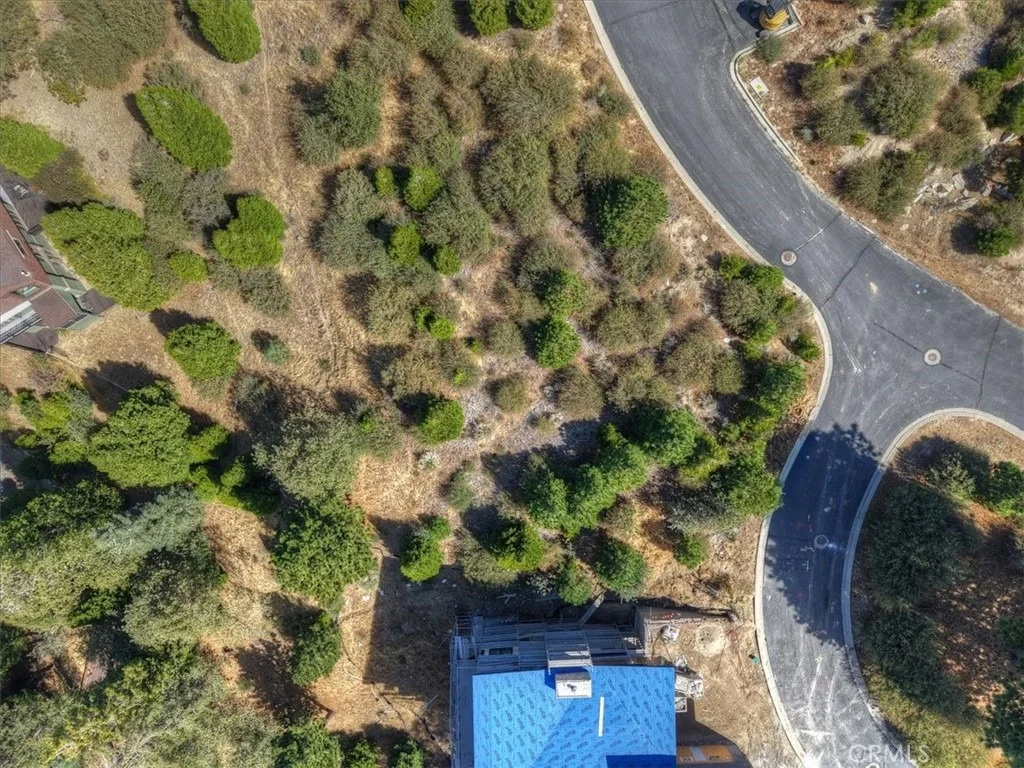 Photo of 202 Hidden Forest