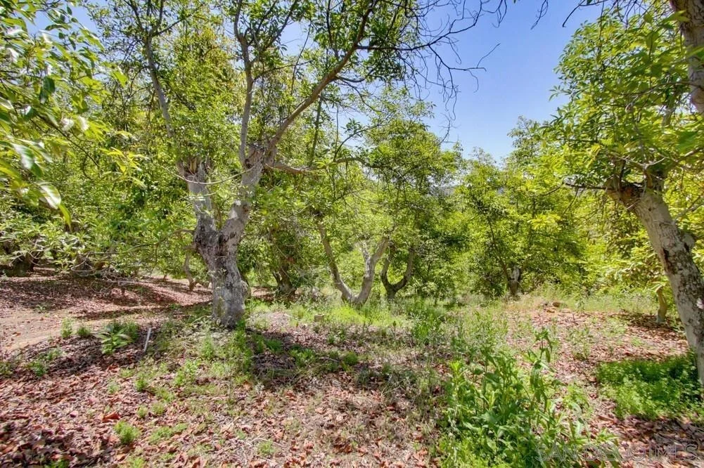 Photo of 31675 Rancho Amigos Rd