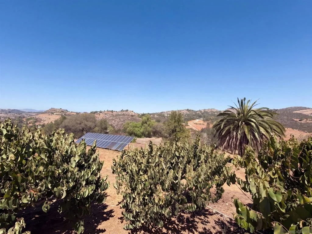Photo of 1596 Aldorado