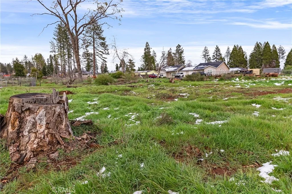 Photo of 1087 Pearson