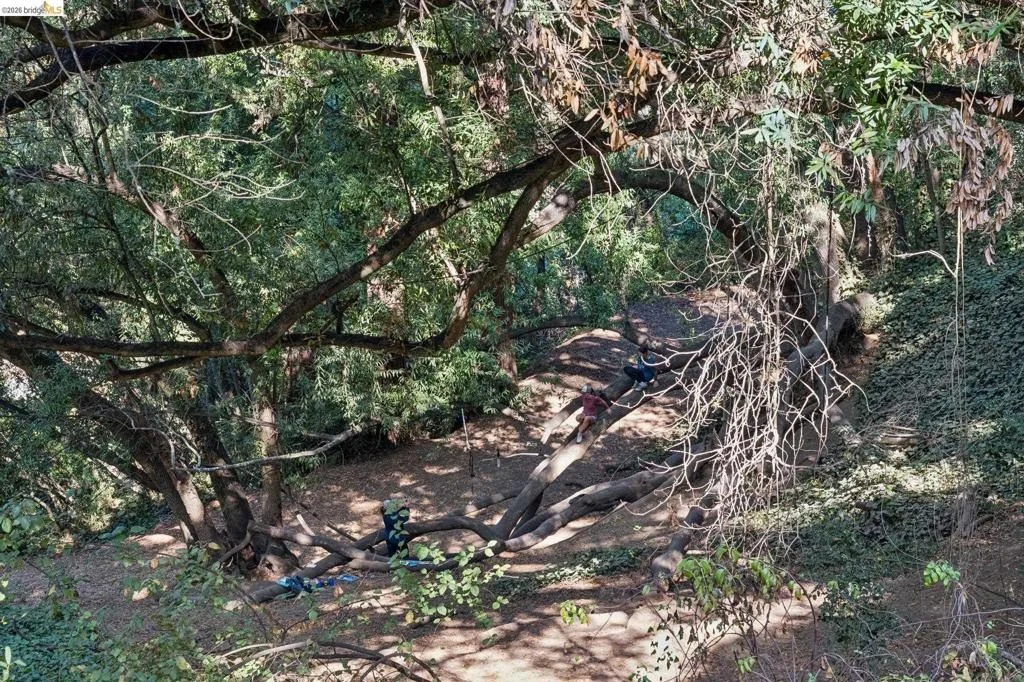 Photo of 2380 Leimert Blvd