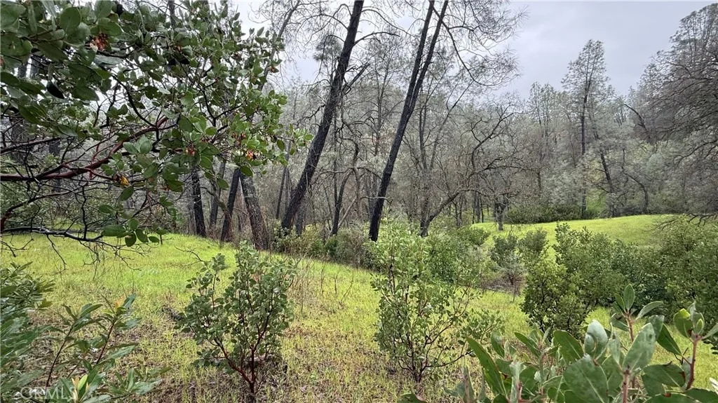 Photo of 16370 Oakridge Road