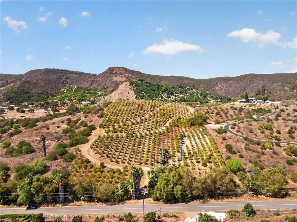 Photo of 16 Terreno