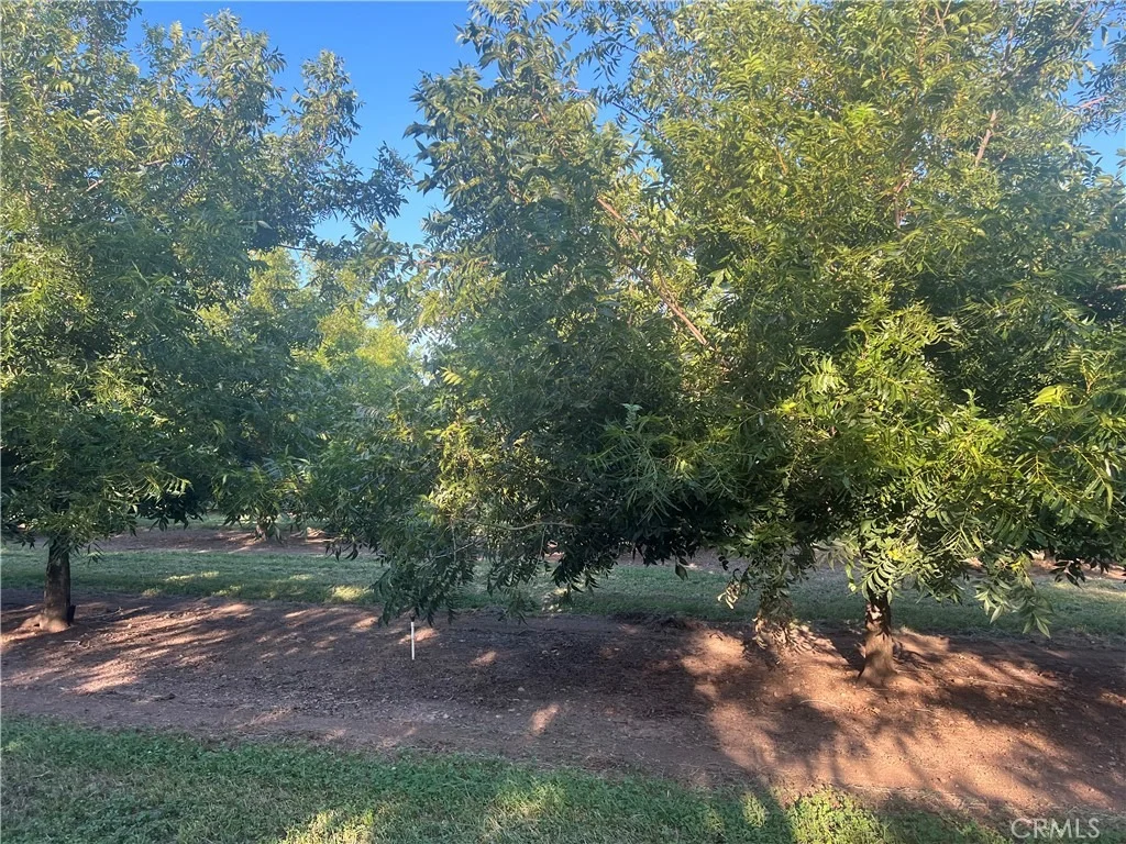 Photo of 14450 Meridian Road