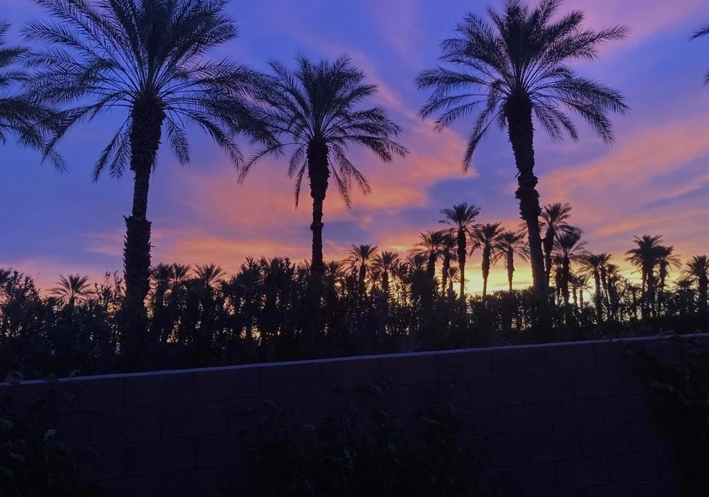 Photo of 51550 Whiptail Drive