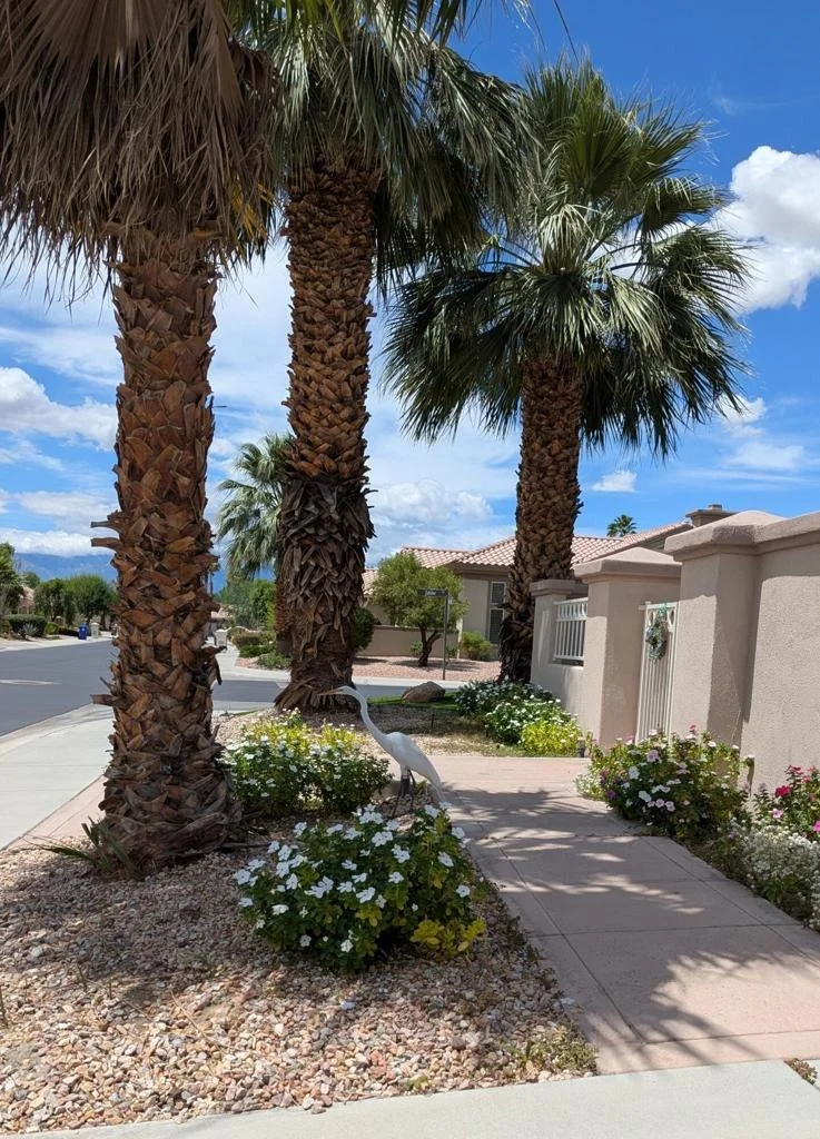 Photo of 78664 Putting Green Drive