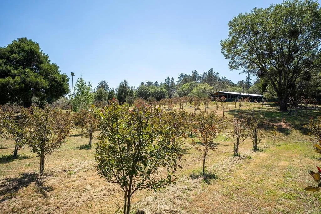 Photo of 1315 FARMER RD