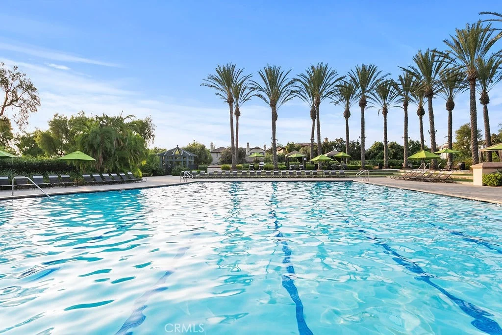 Photo of 41 Carpenteria