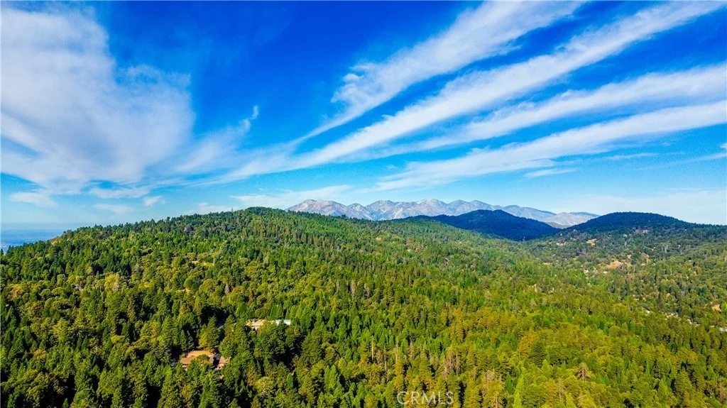 Photo of 744 Woodland
