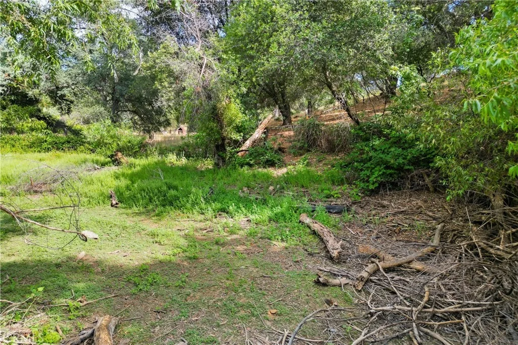 Photo of 18025 Dolores