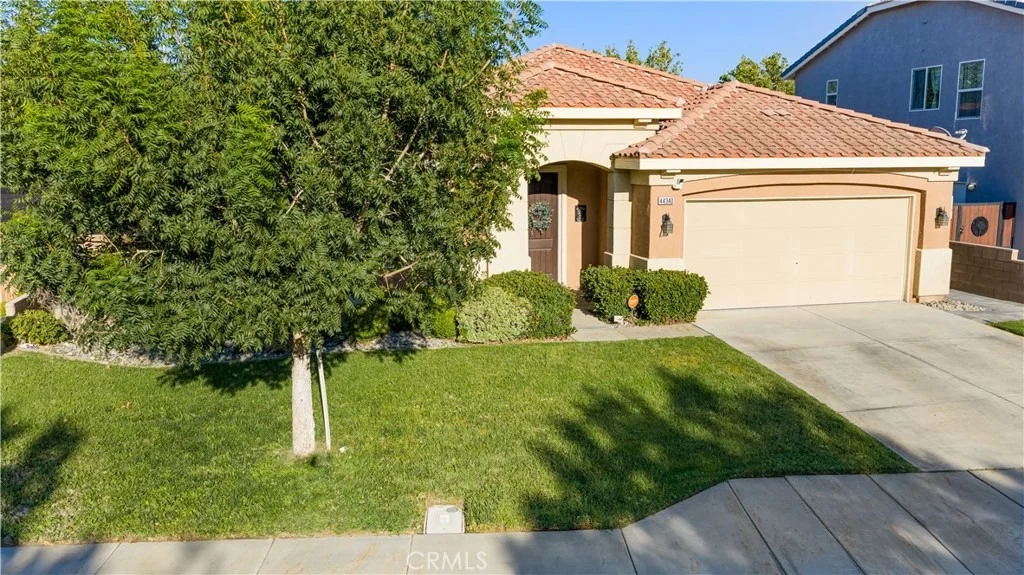 Photo of 44340 Acacia