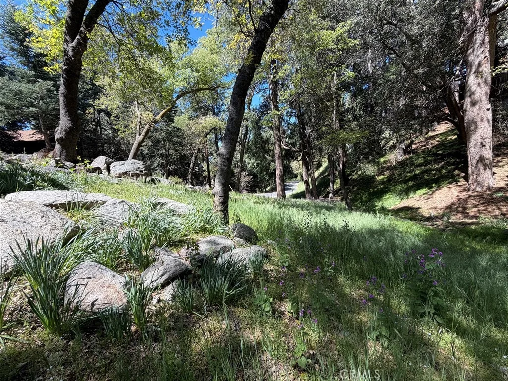 Photo of 1076 Calanda