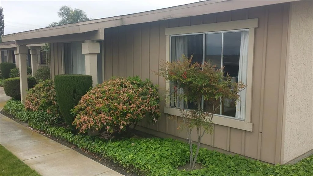 Photo of 4491 Ibis