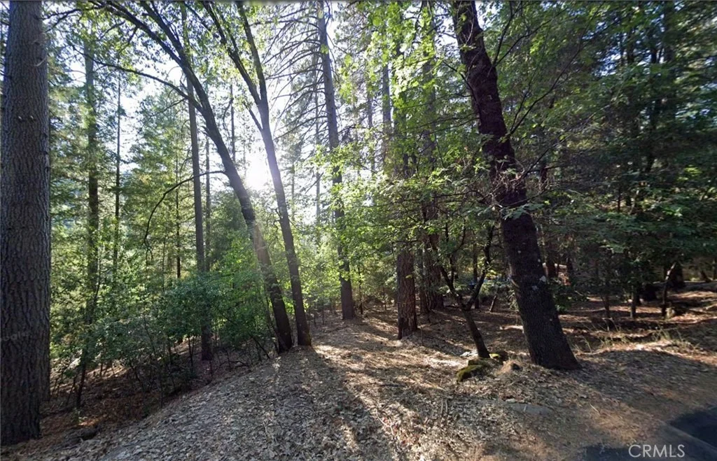 Photo of 16313 Golf Road