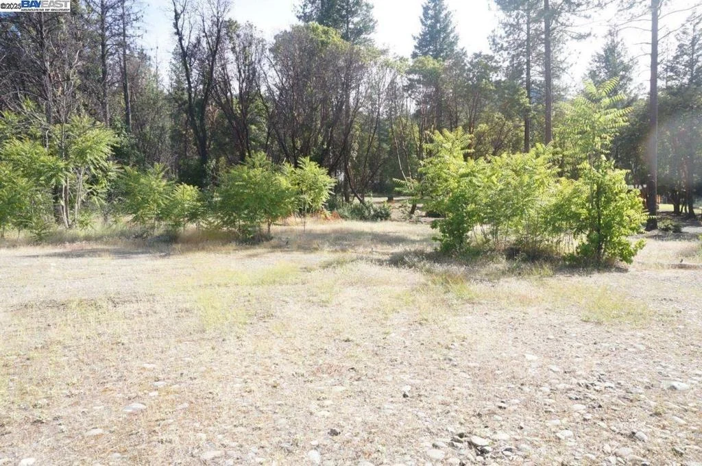 Photo of 101 River Acres