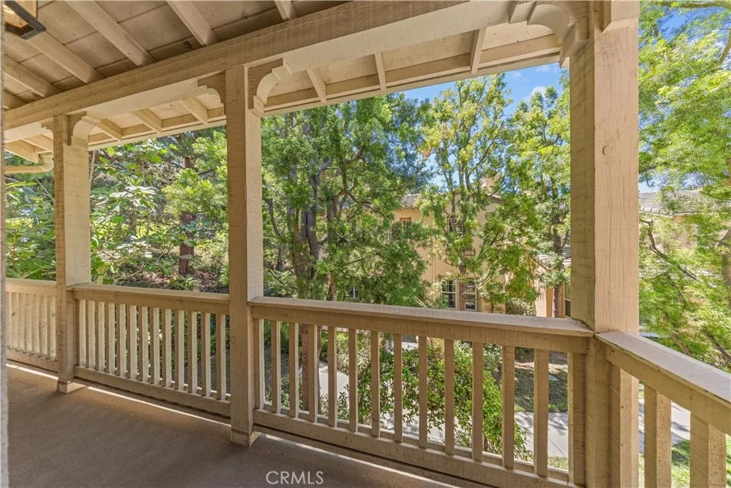 Photo of 97 Canopy