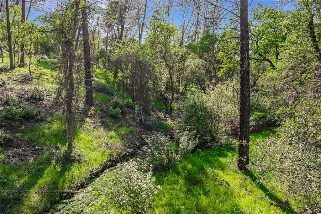 Photo of 9200 Silver King Road