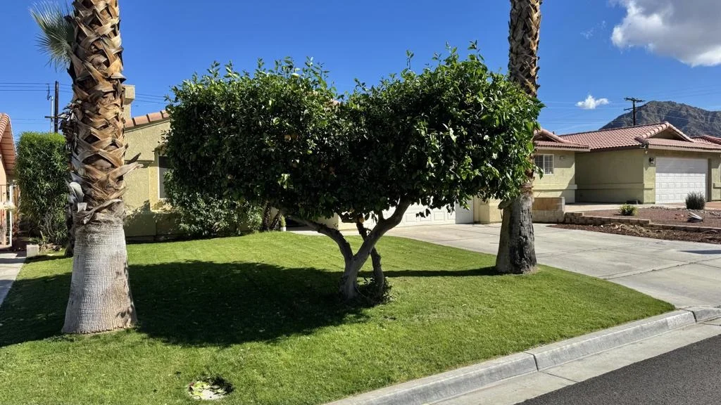 Photo of 51920 Avenida Carranza