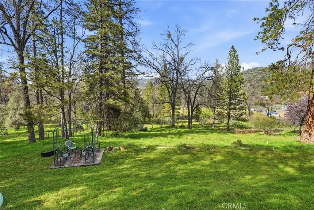 Photo of 50047 Hangtree