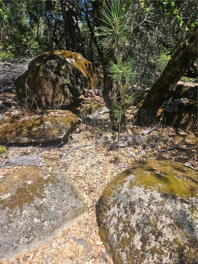 Photo of 1371 Moccasin Trail