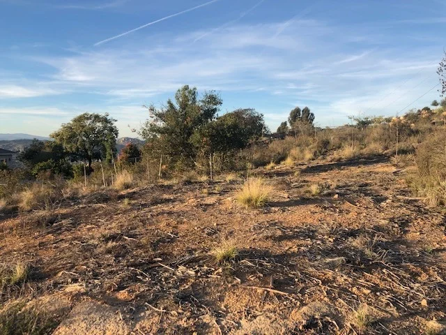 Photo of 0 Rainbow Crest