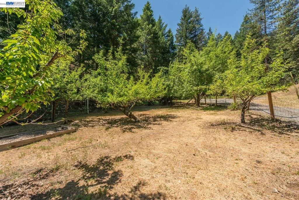 Photo of 891 Salt Flat Rd
