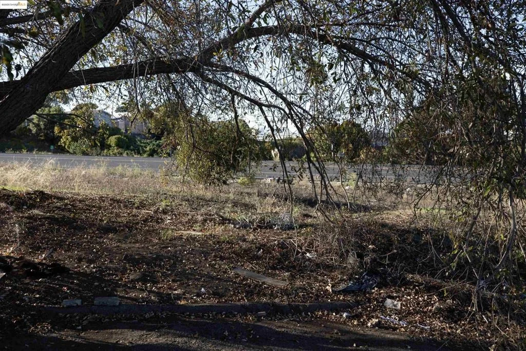 Photo of 