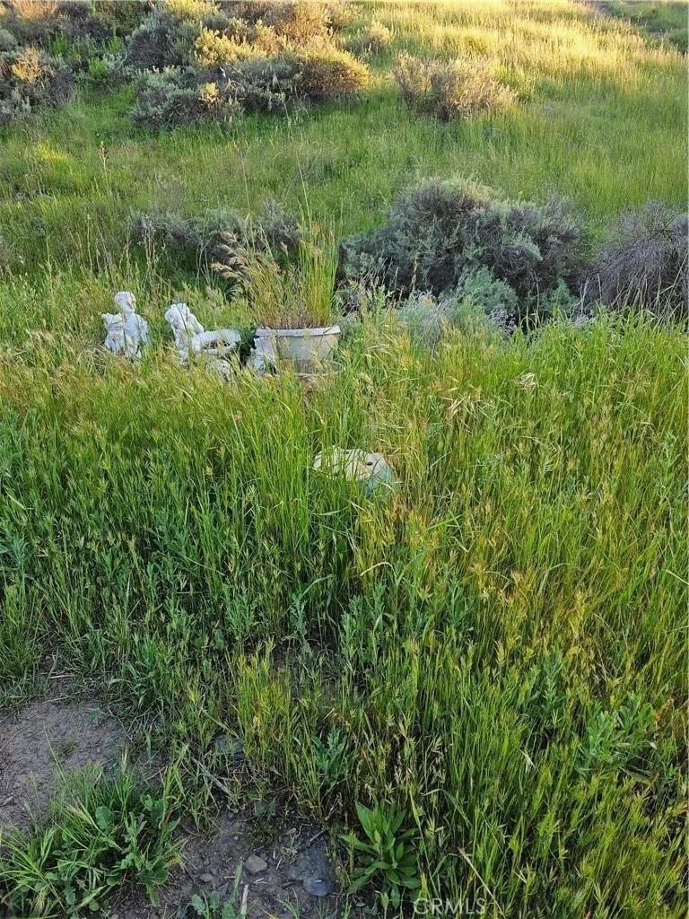 Photo of 27375 Sycamore Mesa Road