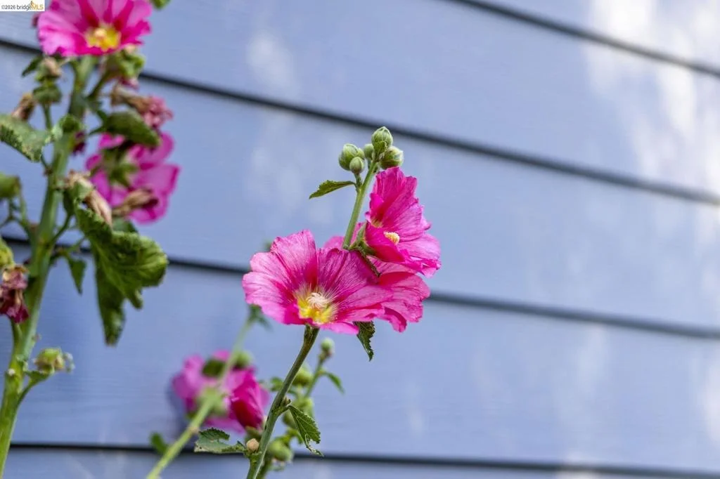 Photo of Unit B at 1030 Delaware St