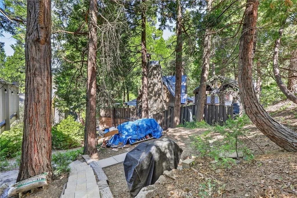 Photo of 208 Heliotrope