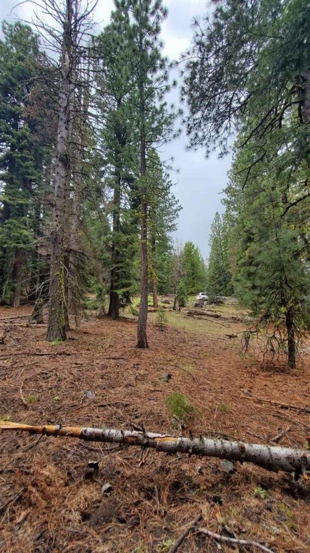 Photo of 0 Range Road
