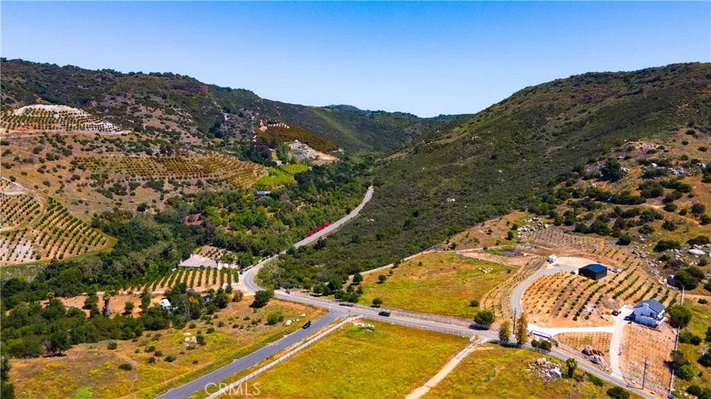Photo of 0 El Calamar