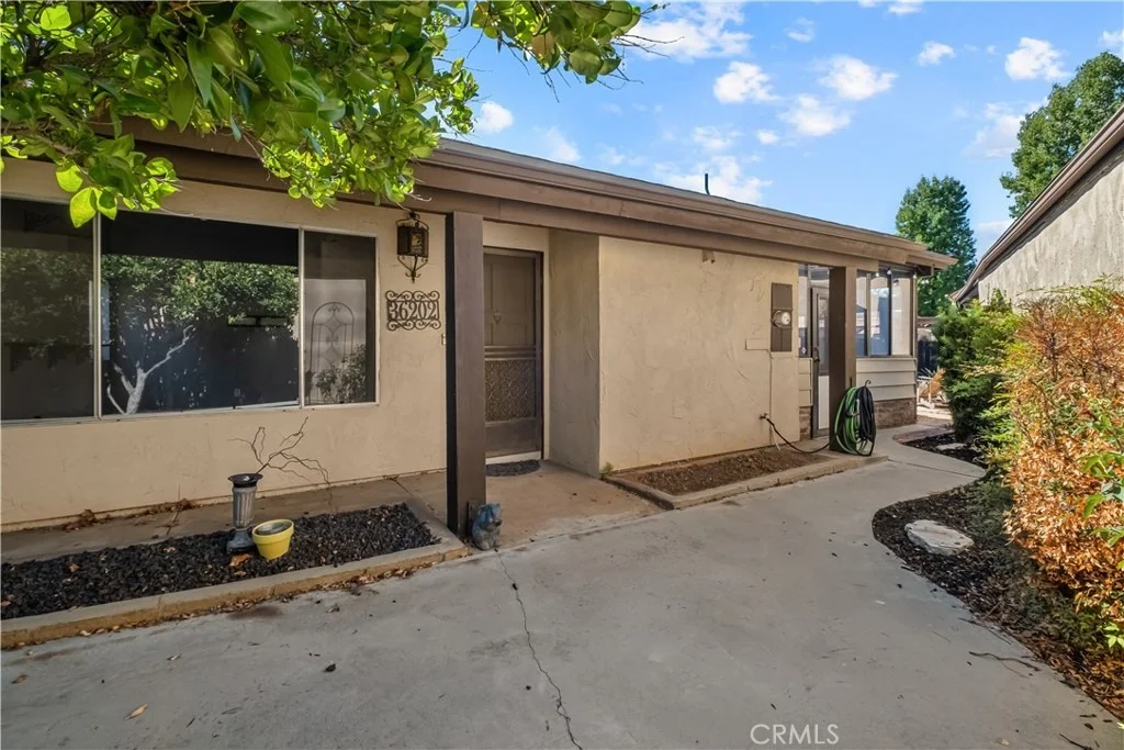 Photo of 36202 Gingertree