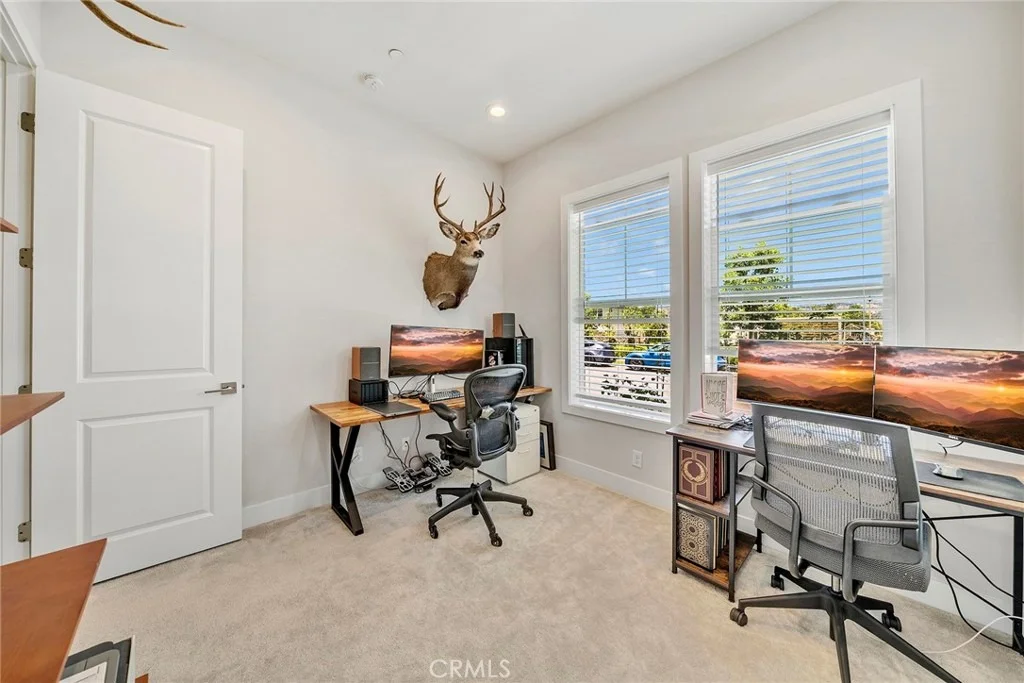 Photo of 241 Burwood