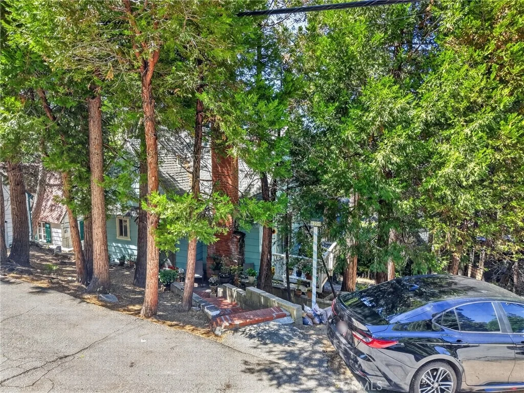 Photo of 208 Heliotrope